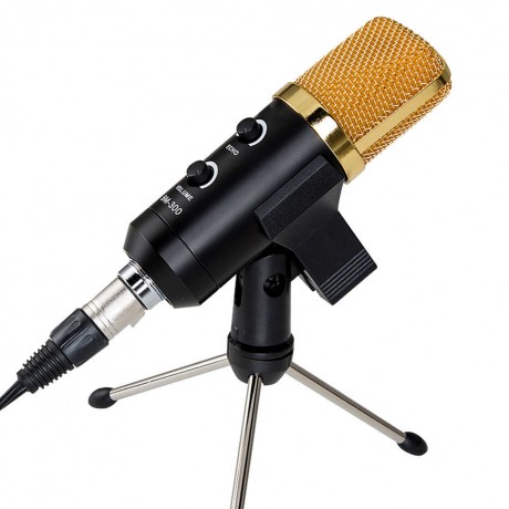 Black 3.5mm USB Microphone Mic Studio Recording with Shock Mount