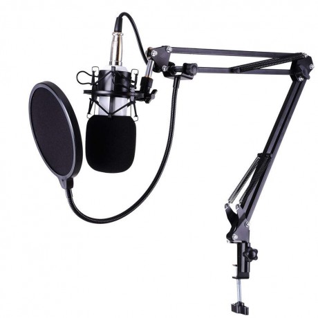 BM-700 Studio Broadcasting Recording Condenser Microphone White