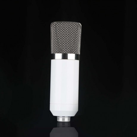 BM-700 Studio Broadcasting Recording Condenser Microphone White