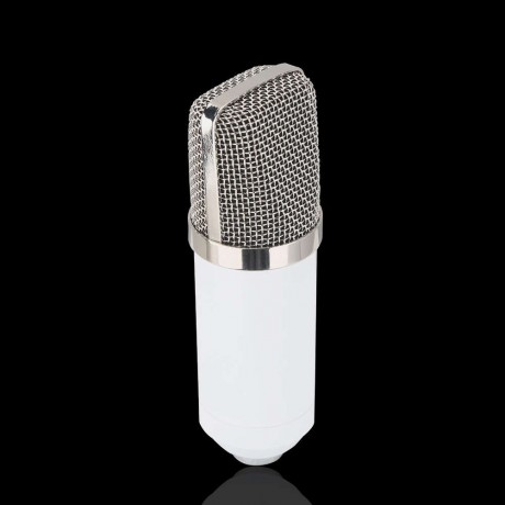 BM-700 Studio Broadcasting Recording Condenser Microphone White