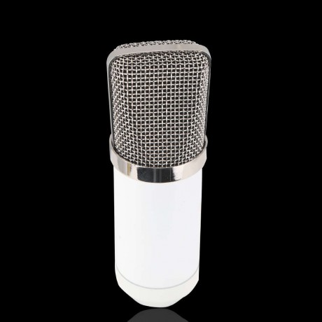 BM-700 Studio Broadcasting Recording Condenser Microphone White