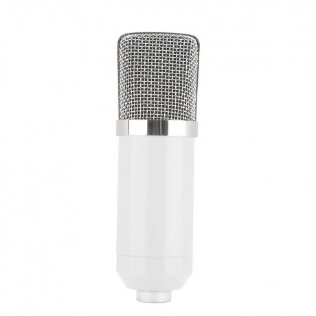 BM-700 Studio Broadcasting Recording Condenser Microphone White