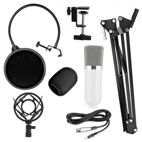 BM-700 Studio Broadcasting Recording Condenser Microphone White