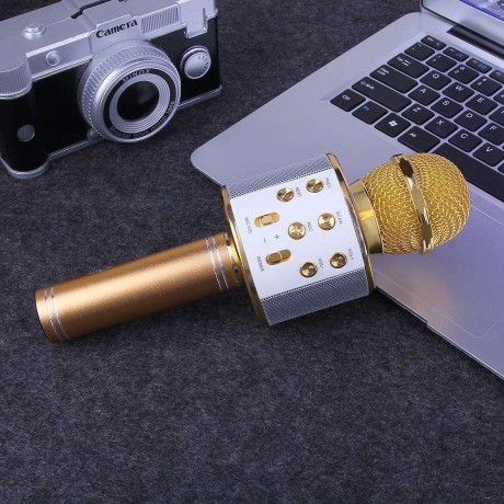 Wireless Bluetooth Karaoke Microphone KTV Mini Portable Speaker Gold