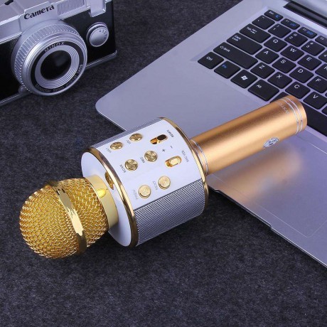 Wireless Bluetooth Karaoke Microphone KTV Mini Portable Speaker Gold