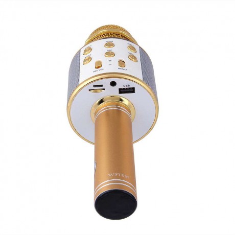 Wireless Bluetooth Karaoke Microphone KTV Mini Portable Speaker Gold