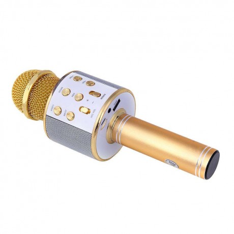 Wireless Bluetooth Karaoke Microphone KTV Mini Portable Speaker Gold