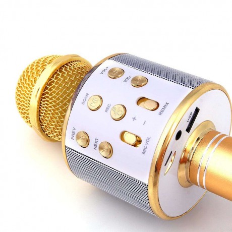 Wireless Bluetooth Karaoke Microphone KTV Mini Portable Speaker Gold