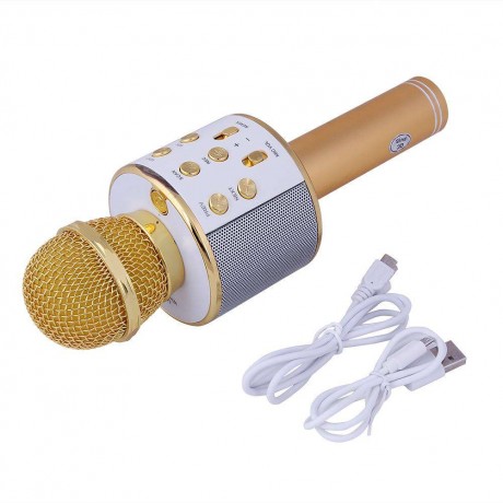 Wireless Bluetooth Karaoke Microphone KTV Mini Portable Speaker Gold