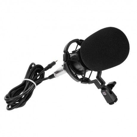 BM800 Dynamic Condenser Wired Microphone Sound Studio for SingingBlack