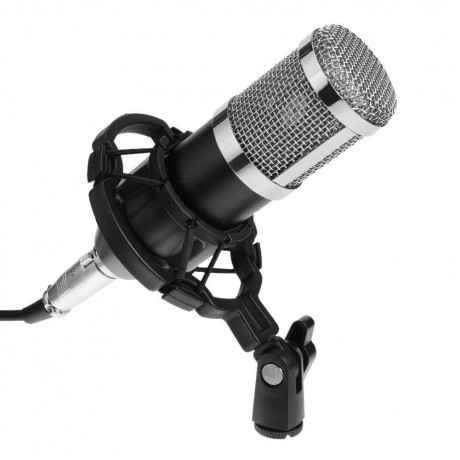 BM800 Dynamic Condenser Wired Microphone Sound Studio for SingingBlack