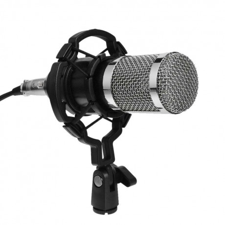 BM800 Dynamic Condenser Wired Microphone Sound Studio for SingingBlack