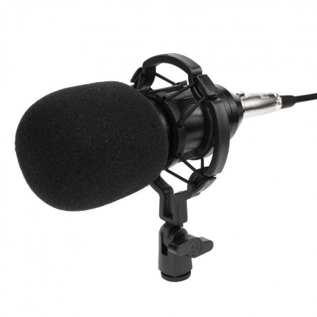 BM800 Dynamic Condenser Wired Microphone Sound Studio for SingingBlack